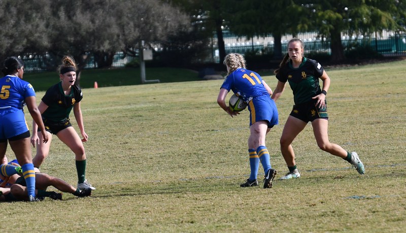 Baylor - DSC_6595