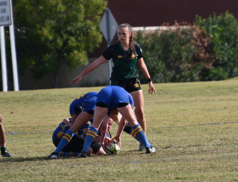 Baylor - DSC_6619