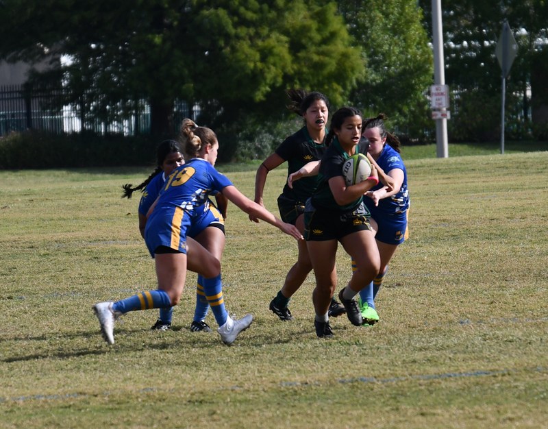 Baylor - DSC_6636
