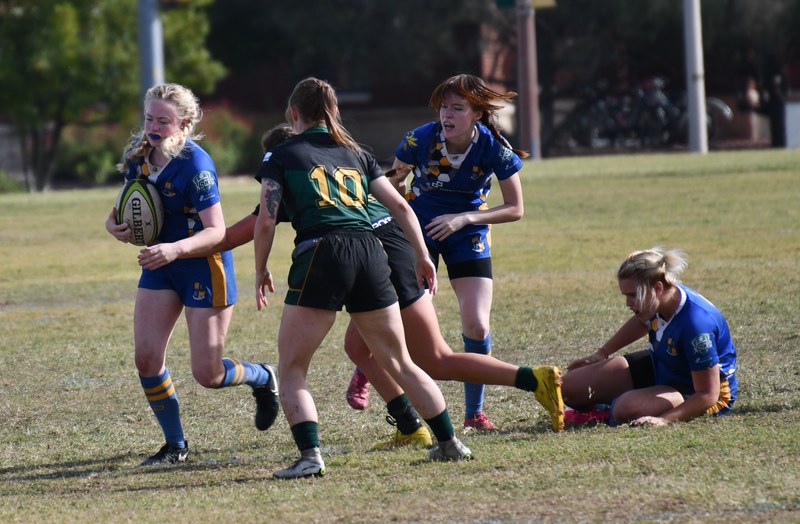 Letourneau - DSC_6701