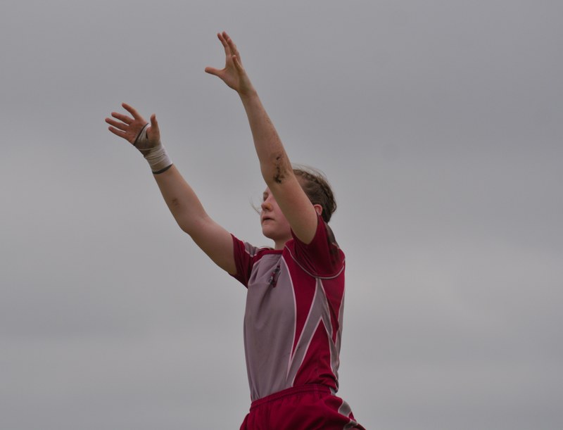 Vassar V Binghamton
