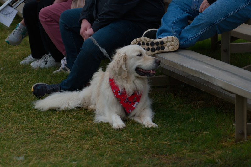 Texas Tech Sevens 2025 - 20251025_TexasTechSevens_0426