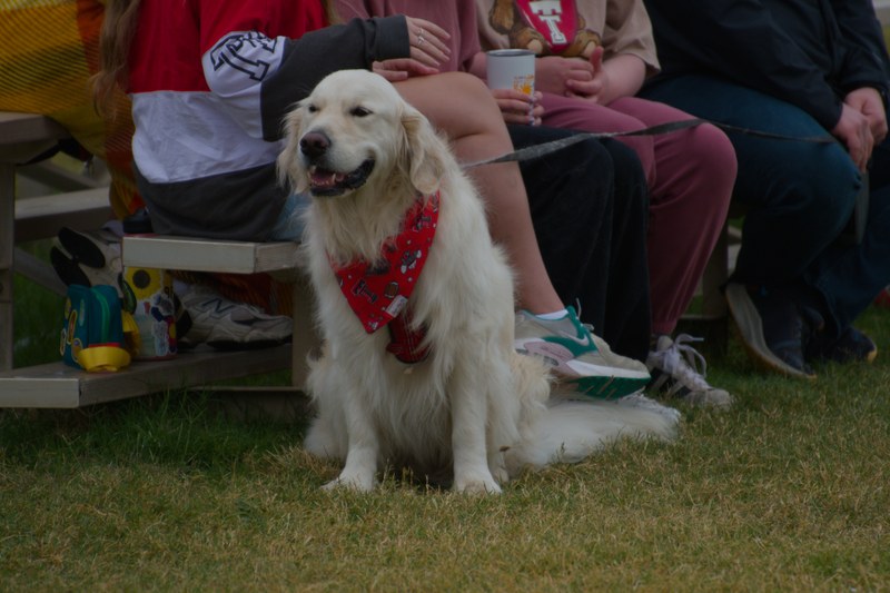Texas Tech Sevens 2025 - 20251025_TexasTechSevens_0518