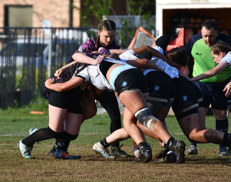 Rock Tournament 2024 March 23 - Rock_Rugby_Tournament_20240323_0017