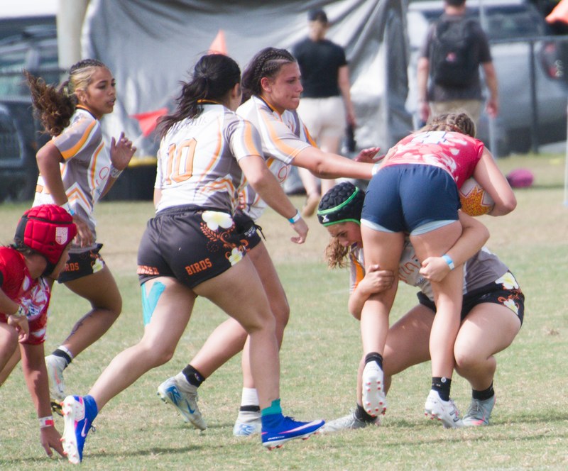 Thunderbirds - 20260403_Tropical_Sevens_Day_1_1693