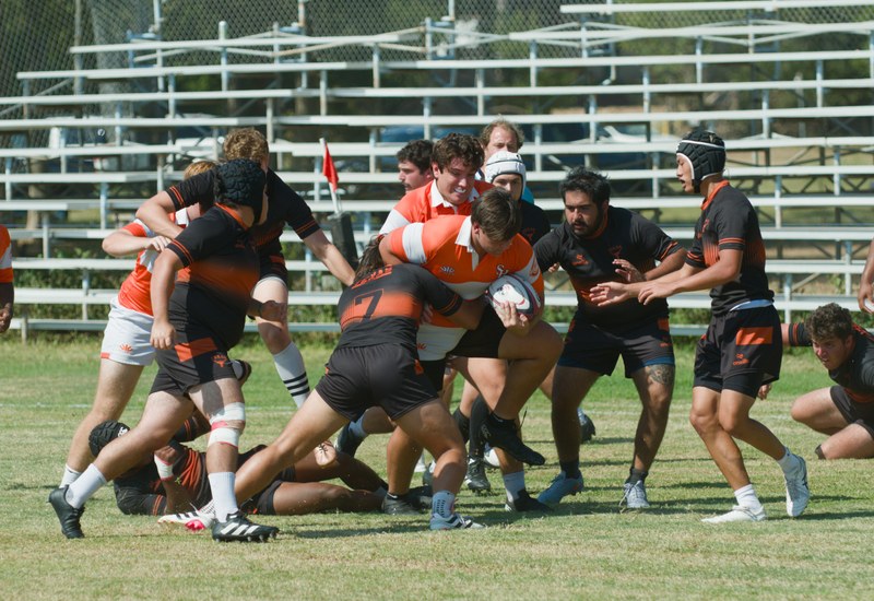 Bearkat Xv At Texas 2 Sept 27 2025 - 20250927_Bearkat_XV_At_Texas_2_0152