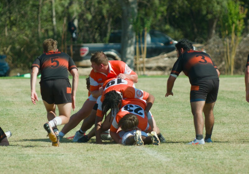 Bearkat Xv At Texas 2 Sept 27 2025 - 20250927_Bearkat_XV_At_Texas_2_0657