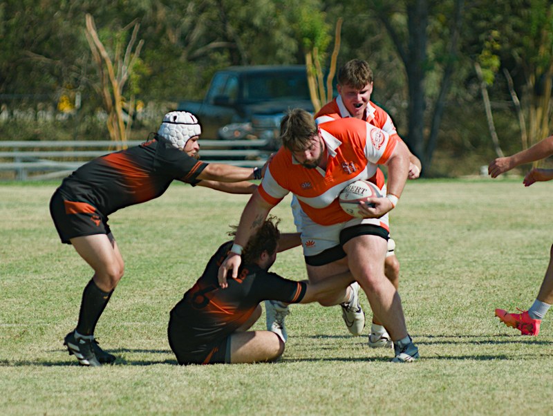 Bearkat Xv At Texas 2 Sept 27 2025 - 20250927_Bearkat_XV_At_Texas_2_0663