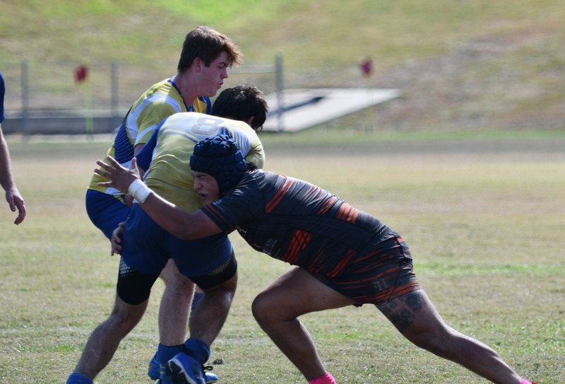 Bearkat Xv Vs Letourneau - Bearkat_XV_vs_LeTourneau_20241026_1901
