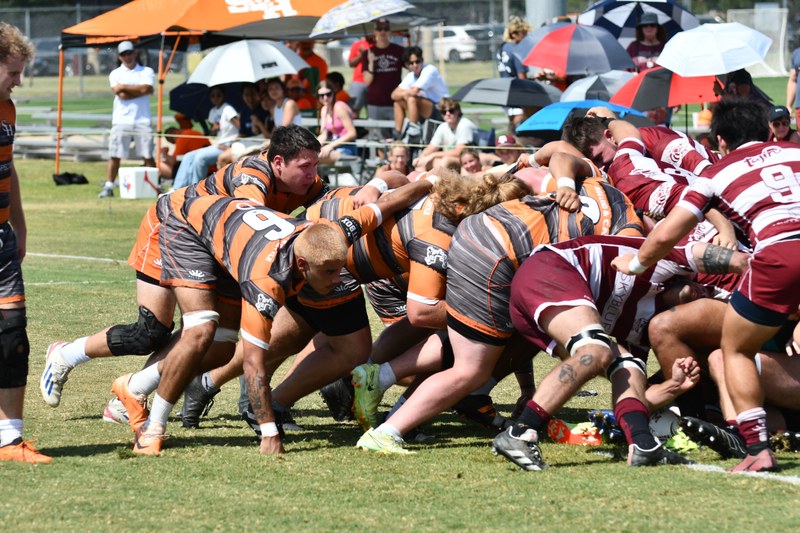 Bearkat Xv Vs Tamu 2 - SHSU_XV_TAMU_2_20240914_0197