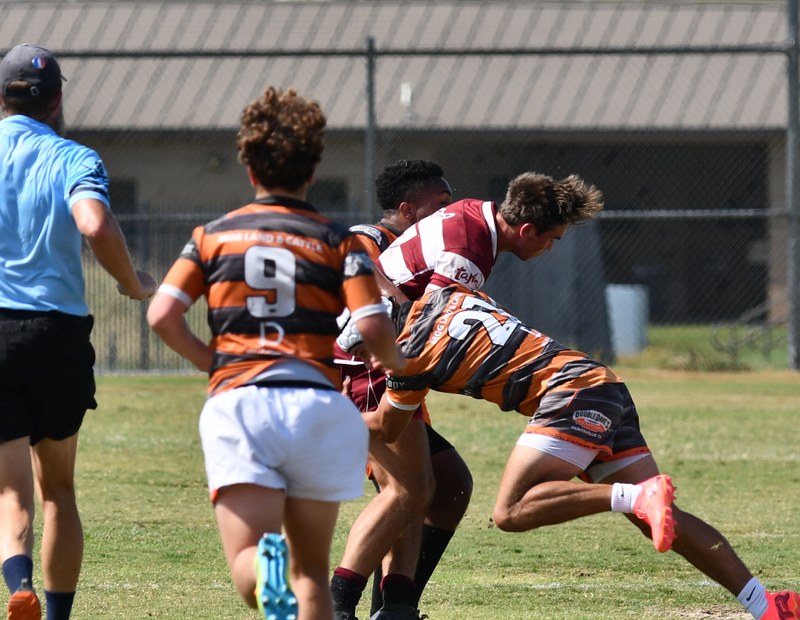 Bearkat Xv Vs Tamu 2 - SHSU_XV_TAMU_2_20240914_0799