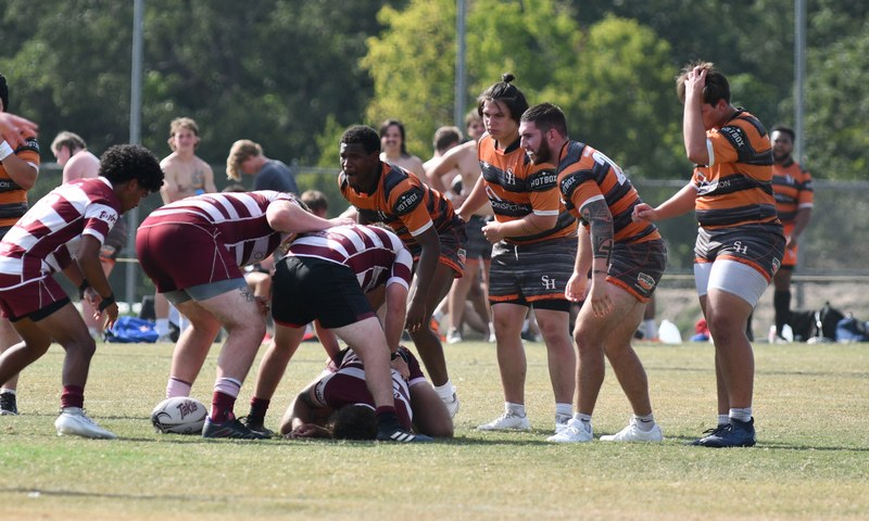 Bearkat Xv Vs Tamu 2 - SHSU_XV_TAMU_2_20240914_1392