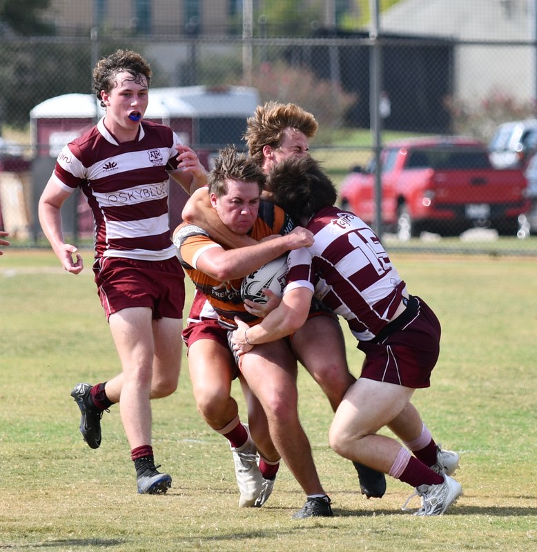 Bearkat Xv Vs Tamu 2 - SHSU_XV_TAMU_2_20240914_1494