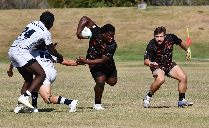 Sam Houston State Vs Rice Oct 26 2024 - SHSU_vs_Rice_20241026_0898