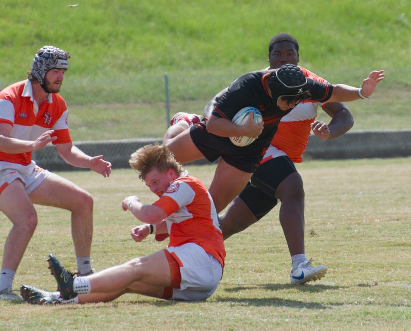 Texas At Sam Houston State Sept 20 2025 - 20250920_Texas_at_SHSU_0433